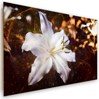 Obraz Deco Panel, Biała lilia na brązowym tle - obrazek 2
