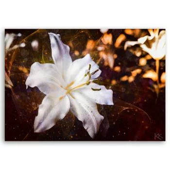 Obraz Deco Panel, Biała lilia na brązowym tle - obrazek 3