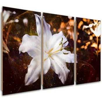 Obraz trzyczęściowy Deco Panel, Biała lilia na brązowym tle - obrazek 2