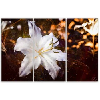 Obraz trzyczęściowy Deco Panel, Biała lilia na brązowym tle - obrazek 3