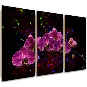 Obraz trzyczęściowy Deco Panel, Orchidea na ciemnym tle - obrazek 2