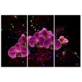 Obraz trzyczęściowy Deco Panel, Orchidea na ciemnym tle - obrazek 3
