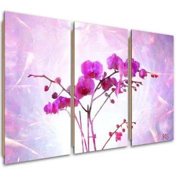 Obraz trzyczęściowy Deco Panel, Eteryczna orchidea - obrazek 2