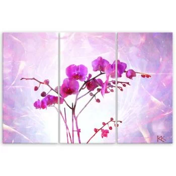 Obraz trzyczęściowy Deco Panel, Eteryczna orchidea - obrazek 3