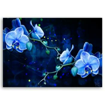 Obraz Deco Panel, Niebieski kwiat orchidei - obrazek 3