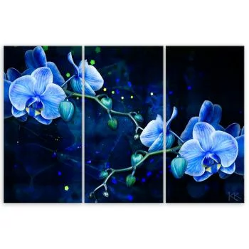 Obraz trzyczęściowy Deco Panel, Niebieski kwiat orchidei - obrazek 3