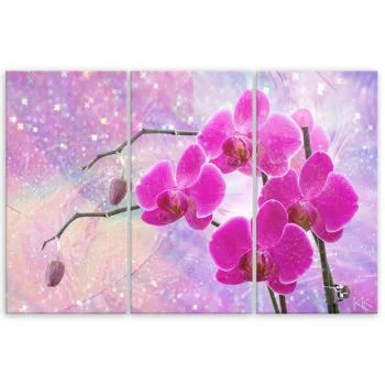 Obraz trzyczęściowy Deco Panel, Eteryczna orchidea abstrakcja - obrazek 3