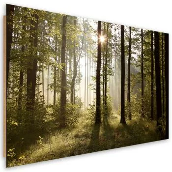 Obraz Deco Panel, Poranek w lesie - obrazek 2