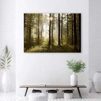 Obraz Deco Panel, Poranek w lesie