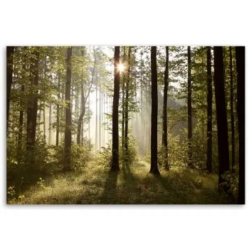 Obraz na płótnie, Poranek w lesie - obrazek 3