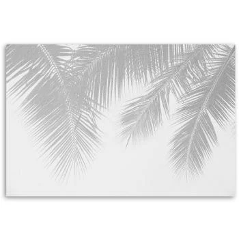Obraz Deco Panel, Szare liście palmy - obrazek 3