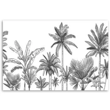 Obraz na płótnie, Czarno białe palmy - obrazek 3