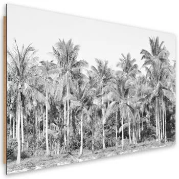 Obraz Deco Panel, Czarno białe palmy w dżungli - obrazek 2