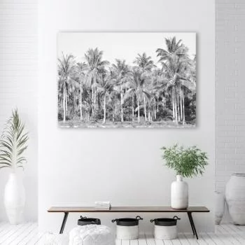Obraz na płótnie, Czarno białe palmy w dżungli