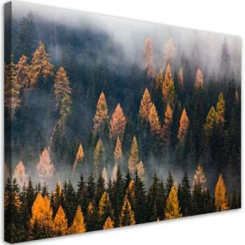 Obraz na płótnie, Jesienny krajobraz drzew - obrazek 2