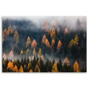 Obraz na płótnie, Jesienny krajobraz drzew - obrazek 3