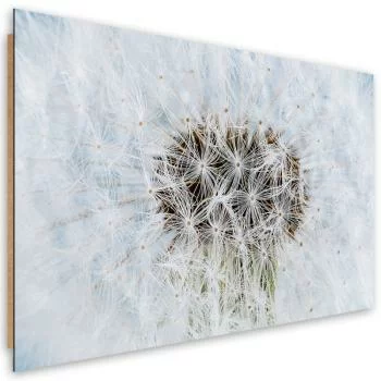 Obraz Deco Panel, Dmuchawiec biały kwiaty - obrazek 2