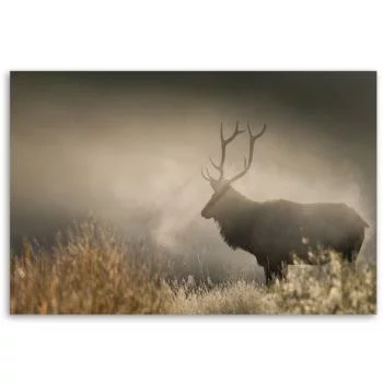 Obraz Deco Panel, Jeleń we mgle natura - obrazek 3