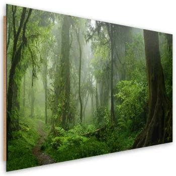 Obraz Deco Panel, Tropikalny las dżungla - obrazek 2