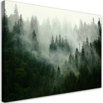 Obraz na płótnie, Las we mgle  - obrazek 2