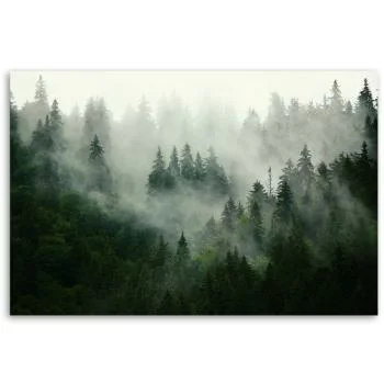 Obraz na płótnie, Las we mgle  - obrazek 3