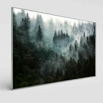 Obraz na szkle - las we mgle