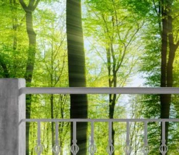 Fototapeta 3D - słońce wśród drzew - obrazek 3