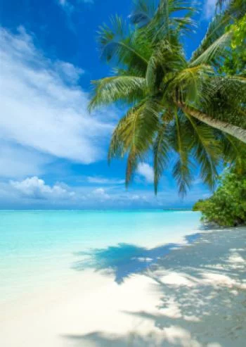 Plakat w ramie - tropikalna wyspa malediwy - obrazek 2