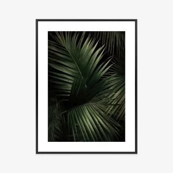 Plakat w ramie - ciemne duże liście palmy - obrazek 3