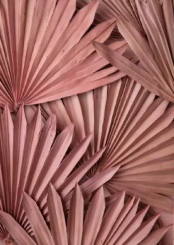 Plakat w ramie - różowe palmowe liście w stylu boho - obrazek 2