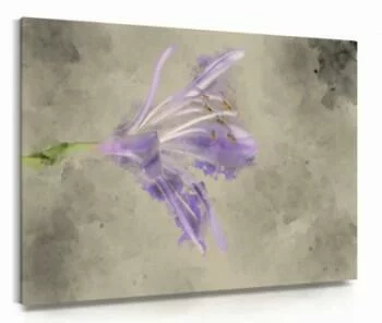Obraz na płótnie - samotna lilia