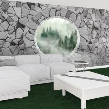 Fototapeta 3D - zamglony las za kamienną ścianą