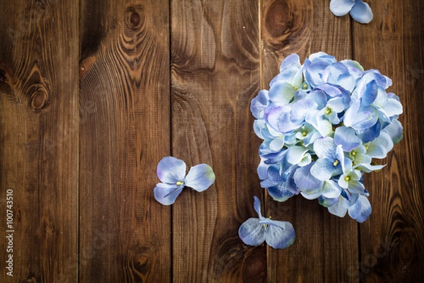 Fototapeta Beautiful hydrangea on wood with copy space