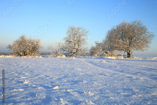 Fototapeta Empty cross-country ski track and winter meadow in Table Mountains in Poland Sudetes by sunrise.