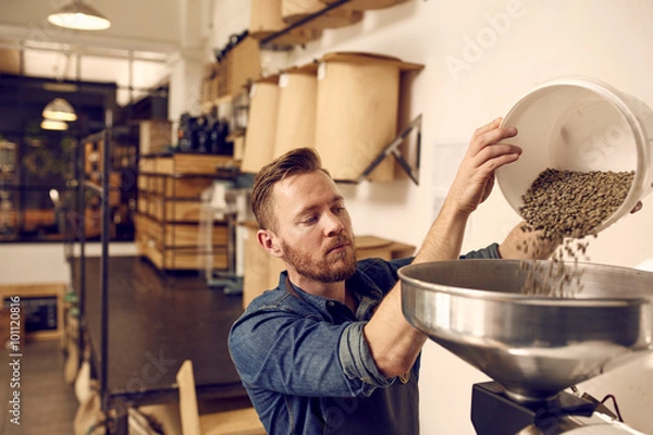 Fototapeta Entrepreneur pouring raw coffee beans into a modern roasting mac