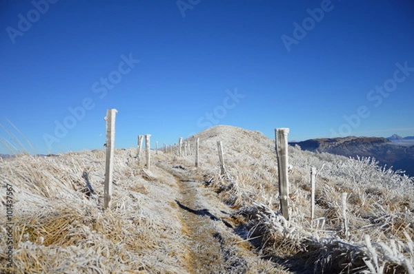 Fototapeta Frozen Path in Mountains