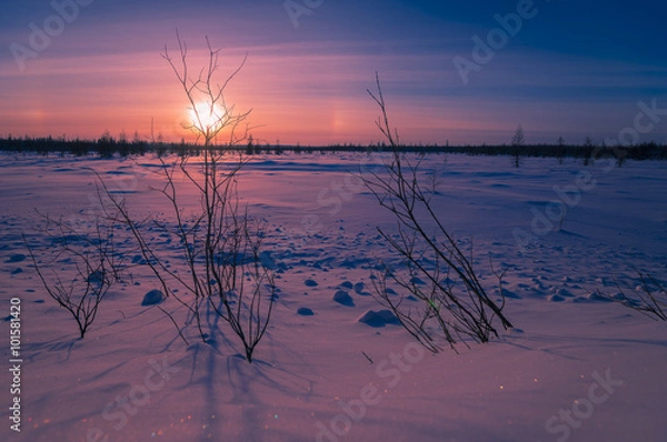 Fototapeta Winter landscape with forest, cloudy sky and sun 