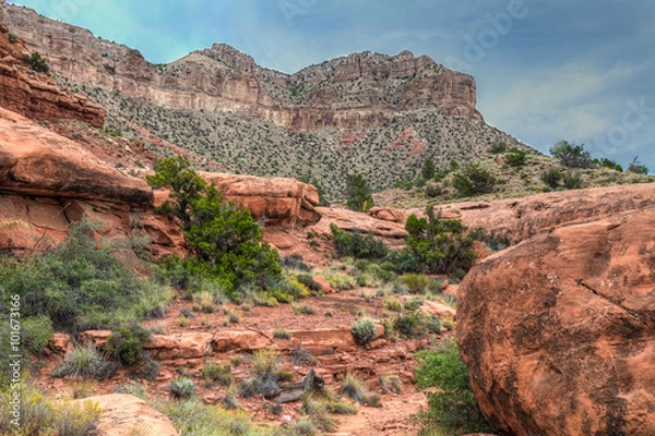 Fototapeta AZ-Grand Canyon National Park-N Rim-Toroweep area.Besides the spectacular vies of the Colorado from 3000 feet above, the entire area is a paradise of interesting formations and varied terrain.