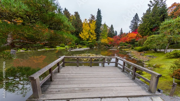 Fototapeta Japanese garden, Seattle