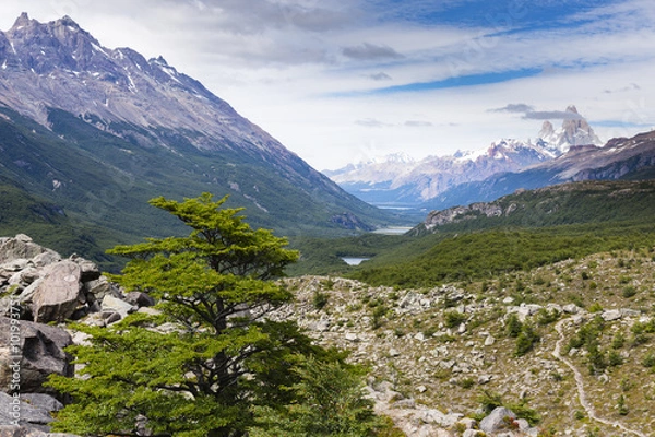 Fototapeta valley view and Fitz Roy