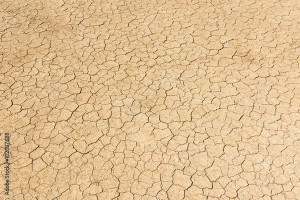 Fototapeta Dry land. Cracked ground background.