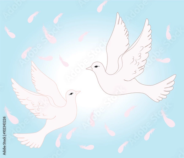 Fototapeta Two pigeons flying in sky of love. Vector