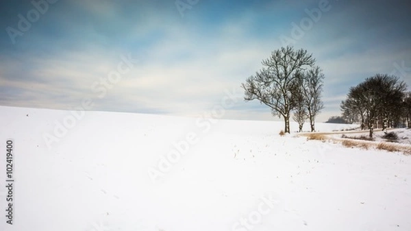 Fototapeta Winter snowy field landscape