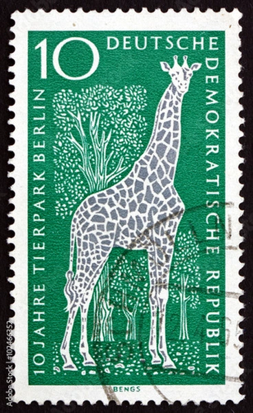 Obraz Postage stamp Germany 1965 Giraffe, Mammal