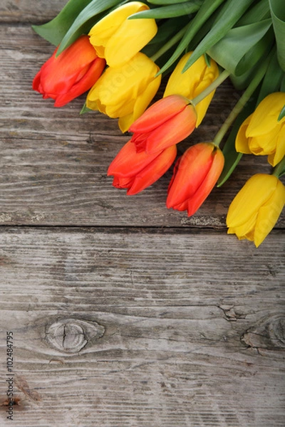 Fototapeta Bouquet of yellow and red tulips