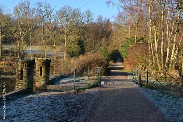 Fototapeta A pathway at a park in West Sussex