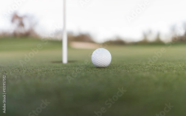 Fototapeta  Golf ball close to cup of hole on putting green