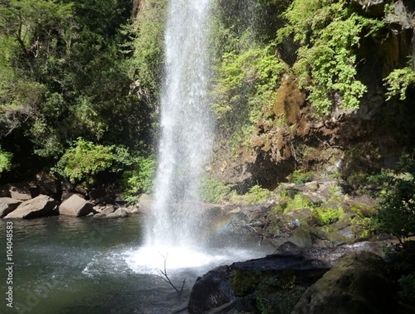 Fototapeta small waterfall flowing of a basalt rock in a deep forest