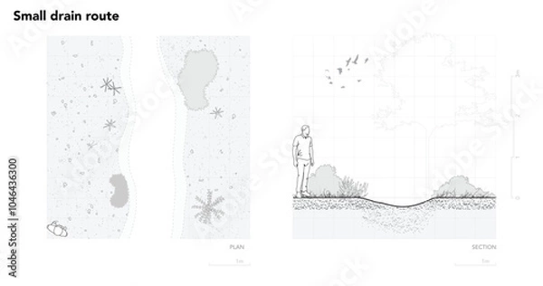 Fototapeta Architectural Drawings, Minimal style cad tree line drawing, Side view, plan and section forest outline symbol for landscape design drawing. Vector illustration in stroke fill in white.