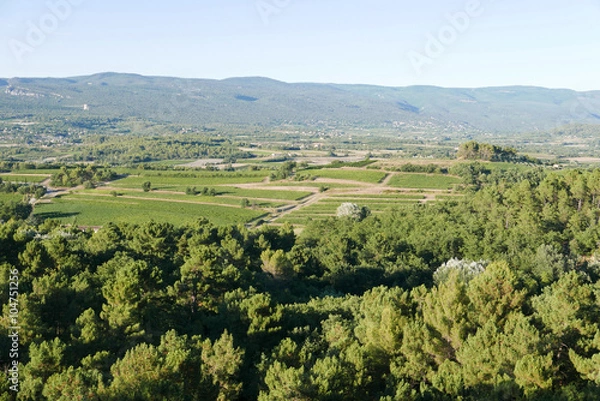 Fototapeta luberon